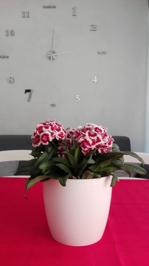 Bed and Breakfast Sweety House San Giovanni Gemini Exteriér fotografie