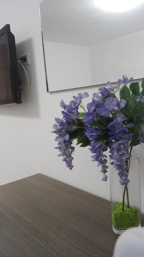 Bed and Breakfast Sweety House San Giovanni Gemini Exteriér fotografie